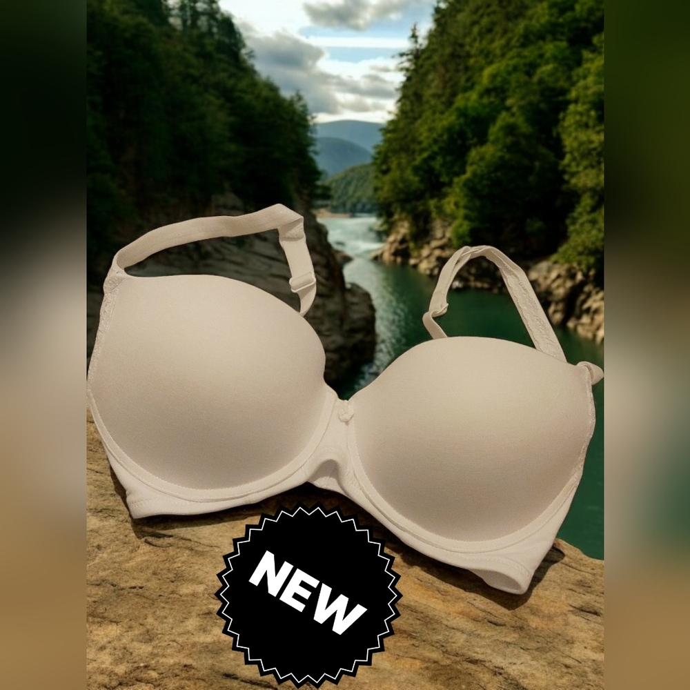 New lace padded underwired bra